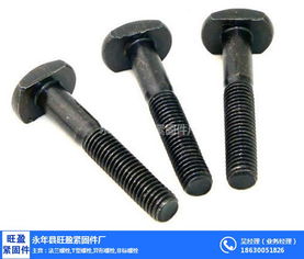 上海T型螺栓專業(yè)供應(yīng)商 旺盈緊固件，金屬拉絲加工品質(zhì)保障